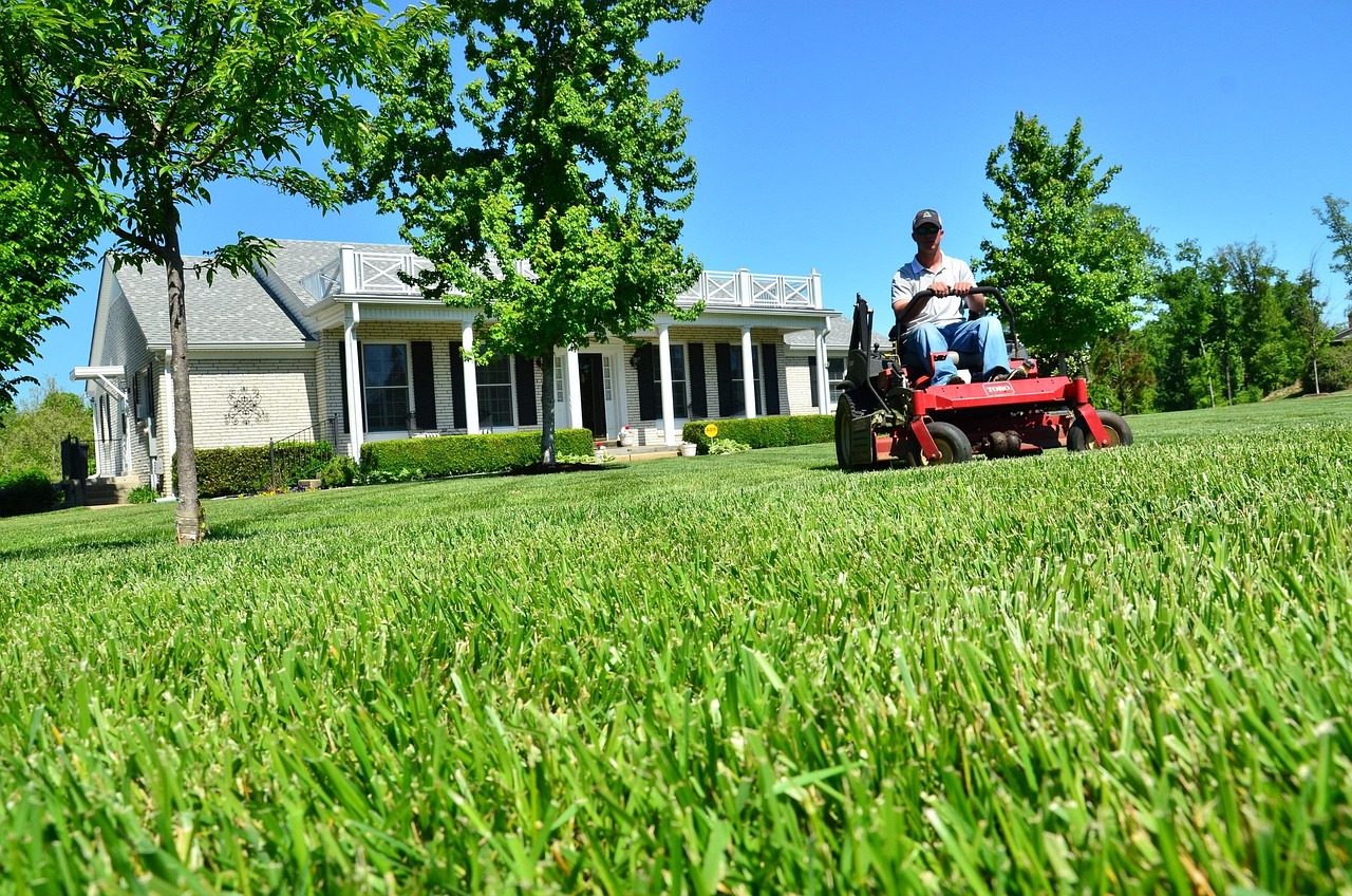 lawn care, lawn maintenance, lawn services, grass cutting, lawn mowing, green care, green service, lawn care, lawn care, lawn care, lawn care, lawn care, lawn mowing